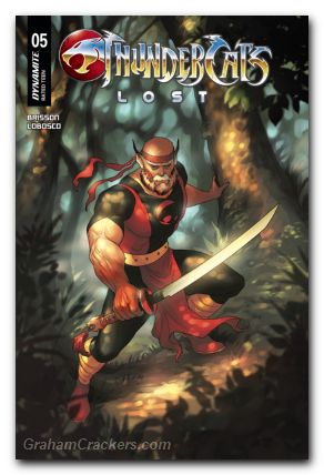 Thundercats Lost #5 cover c hetrick