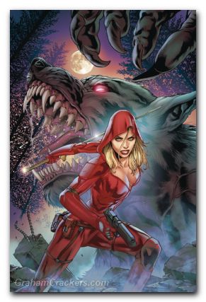 Fairy Tale Team-Up Robyn Hood And Red Agent #1 cover b