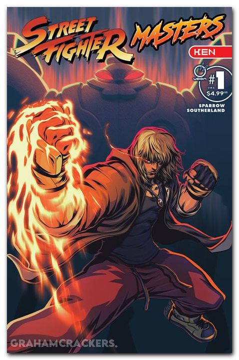 STREET FIGHTER (all mini series & specials excluding swimsuit)