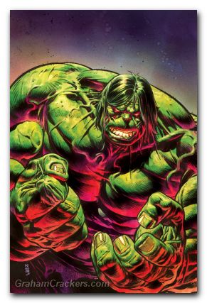 Incredible Hulk #19 (2023) klein virgin variant