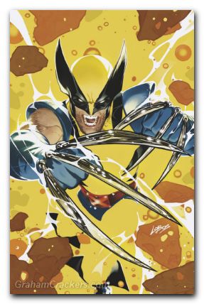 Wolverine #3 (2024) villalobos virgin variant