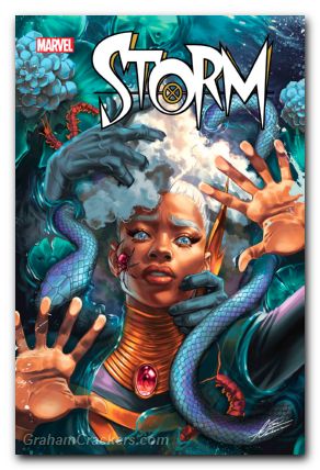 Storm #2 (2024)