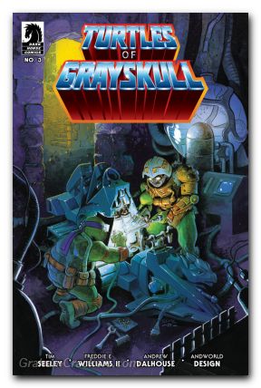 Masters Of The Universe Teenage Mutant Ninja Turtles Turtles Of Grayskull #3 (2024) cover b crook variant