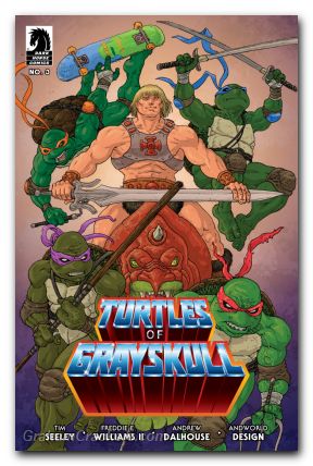 Masters Of The Universe Teenage Mutant Ninja Turtles Turtles Of Grayskull #3 (2024) cover c villalobos variant