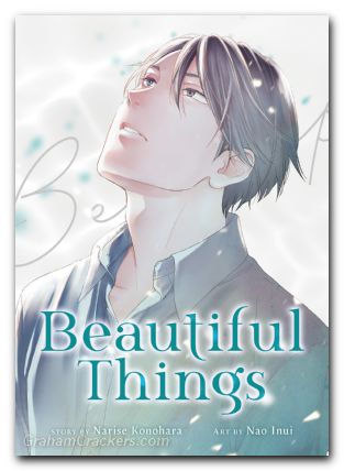 Beautiful Things GN Complete Manga Collection