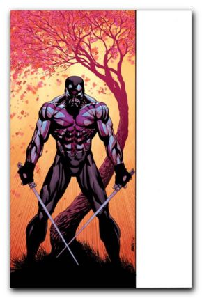 Rai #8 (2014) sears variant cover