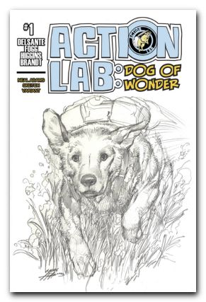 Action Lab Dog Of Wonder #1 cover c