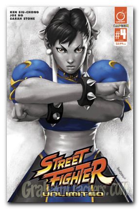 Street Fighter Unlimited #4 cover d