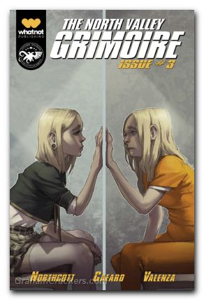 North Valley Grimoire #3 cover b
