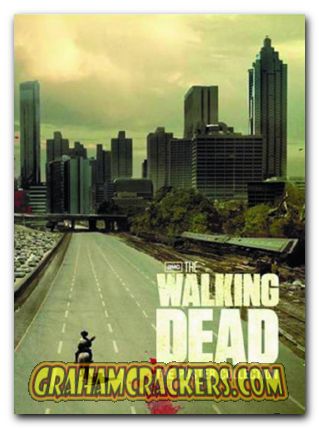 Walking Dead Poster Collection