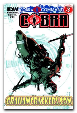 Cobra #9 (2011) cover b