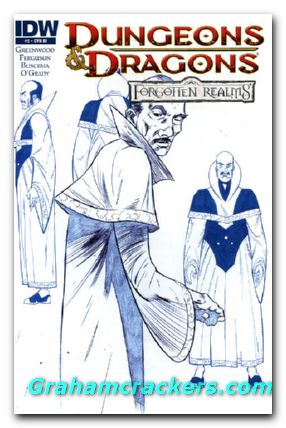 Dungeons & Dragons Forgotten Realms #5 (2012) cover c variant