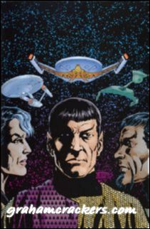 Star Trek Romulans Schism #3 (2009) virgin cover