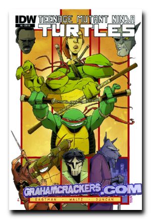 Teenage Mutant Ninja Turtles #6 (2011) variant