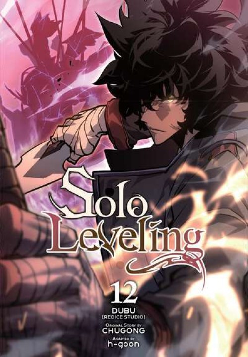 Solo Leveling GN #12