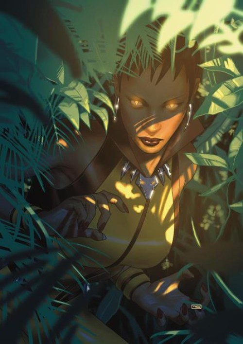 DC BLACK HISTORY MONTH VARIANTS | Graham Crackers Comics