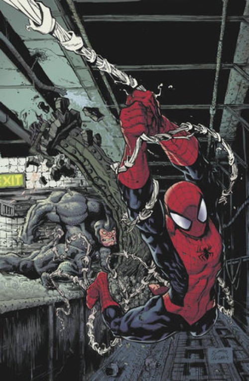 Amazing Spider-Man #1 (2025) second print stegman virgin variant