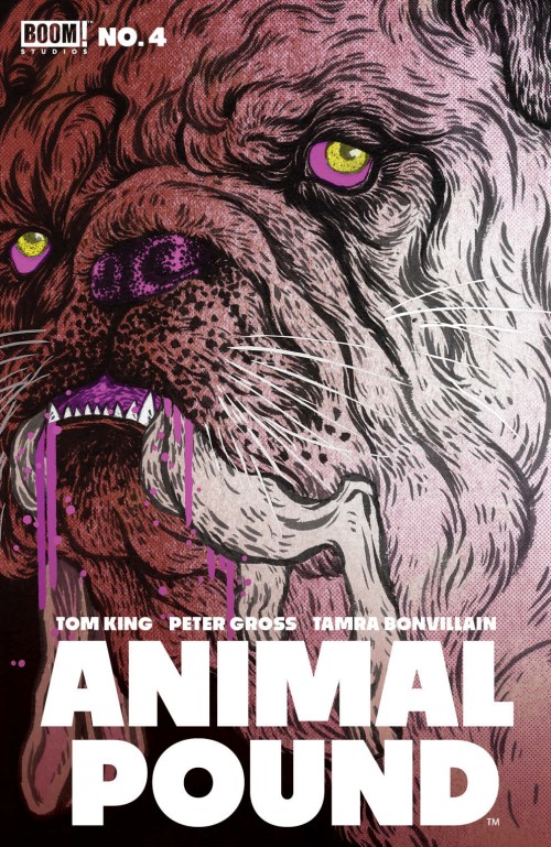 Animal Pound #4 cover b