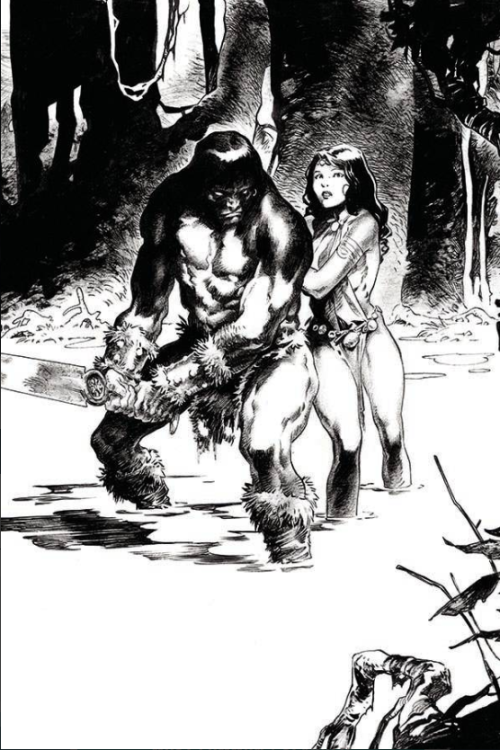 Cimmerian Iron Shadows In Moon #3 cover e augustin virgin variant