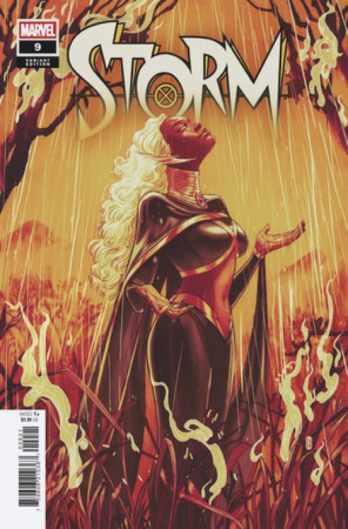 Storm #9 (2024) malavia variant