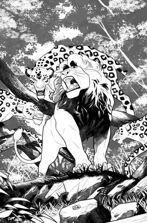 Lion King #4 (2025) cover j galmon line art virgin variant