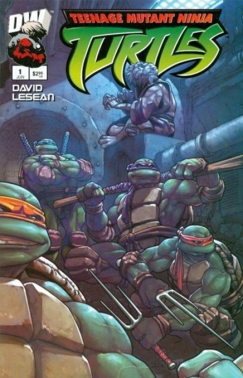 Teenage Mutant Ninja Turtles #1 (2003) cover b