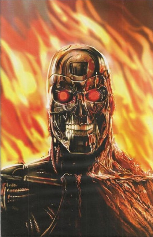 Terminator 2 Infinity #1 (2007) variant a