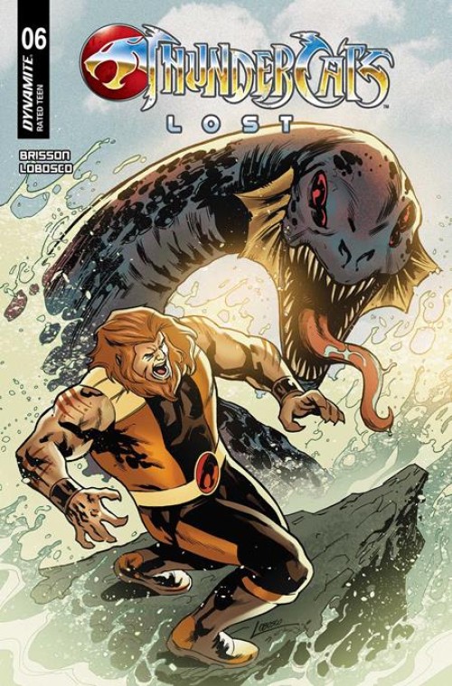 Thundercats Lost #6 cover b henry