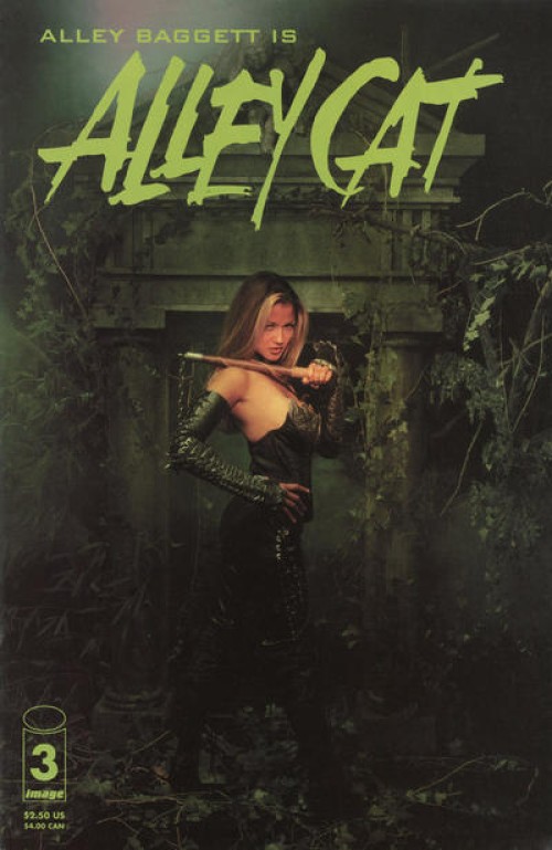 Alley Cat #3 (1999) photo