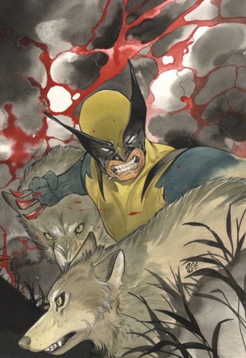 Wolverine #1 (2024) second print momoko virgin variant