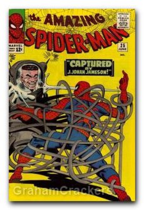 Amazing Spider-Man #25 (1963)